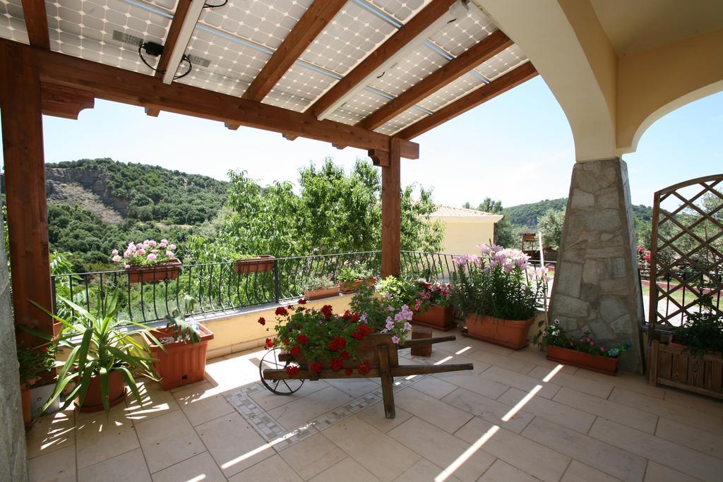 Agriturismo Ticci Seùlo Exterior foto