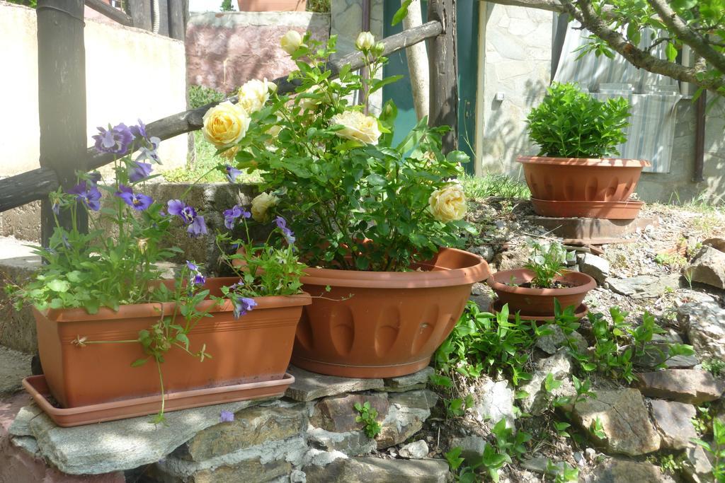 Agriturismo Ticci Seùlo Habitación foto