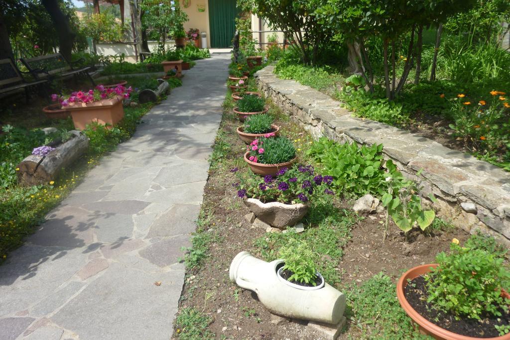 Agriturismo Ticci Seùlo Exterior foto